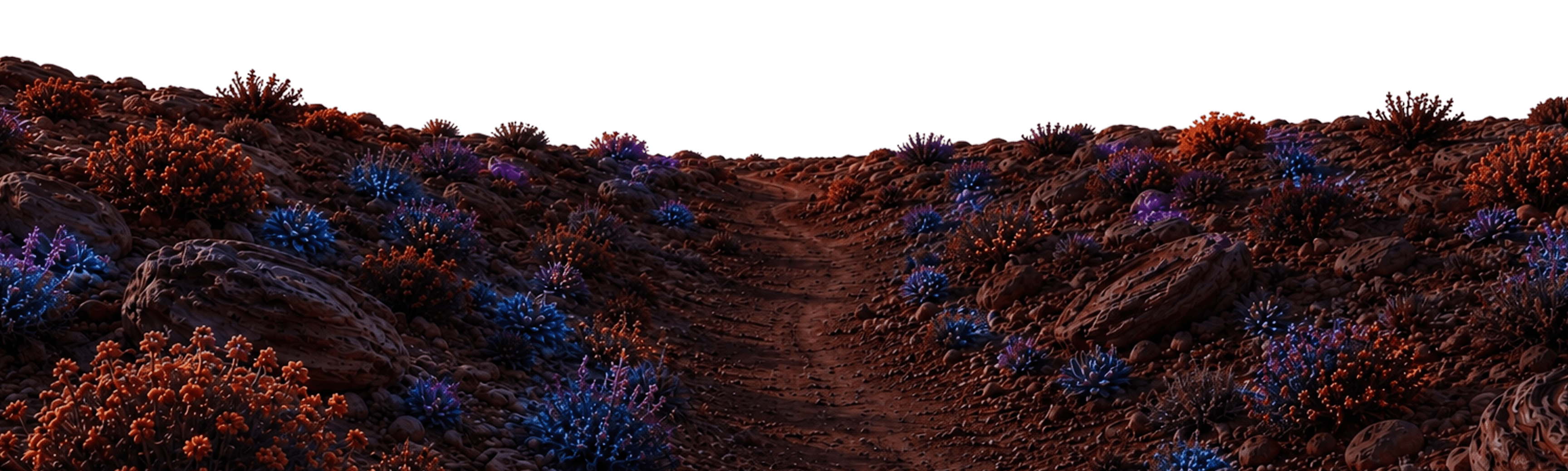 Desert trail at night